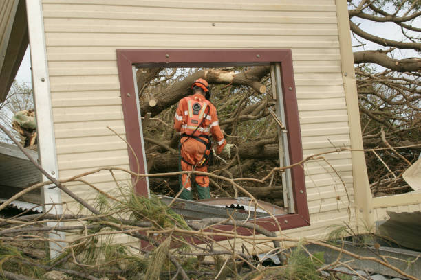 Best Commercial Tree Services  in USA